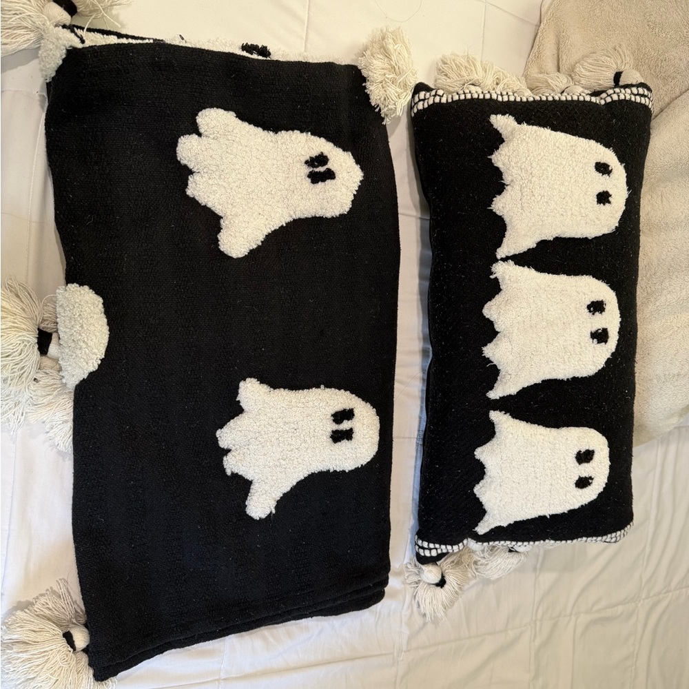 Rachel Zoe Black and White Ghost Pillows